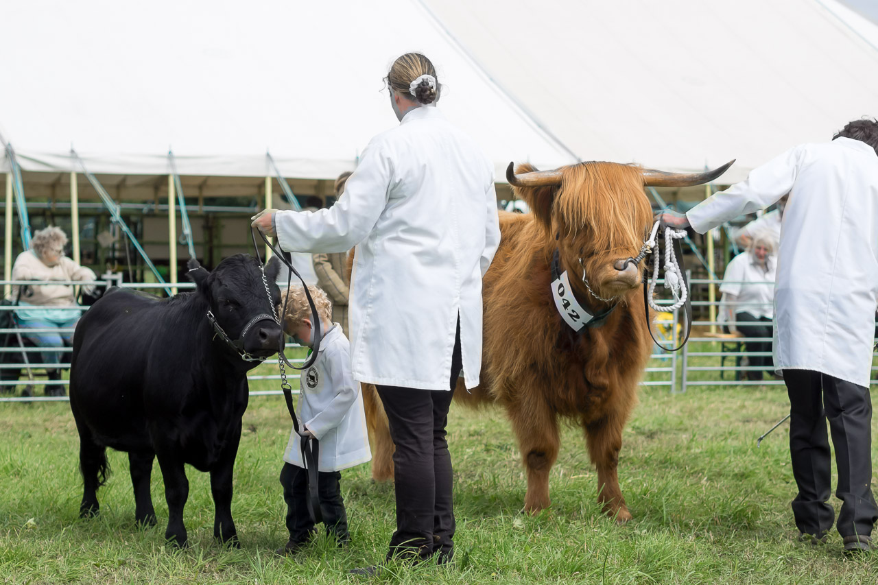 Chertsey Agricultural Show Community Life